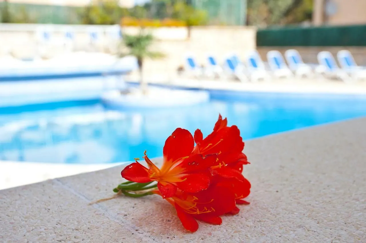 Apartamentos Sol Y Mar Cala Bona  Cala Bona (Mallorca)